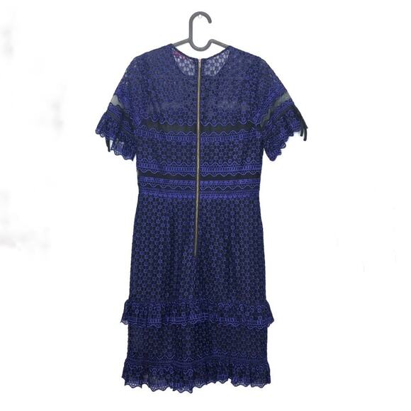 Parker Emilia Blue Ruffle Lace Mini Dress Small - Picture 3 of 10